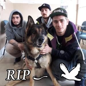 Meet your Posher, Caleb